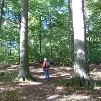 Wandern Kullaleden